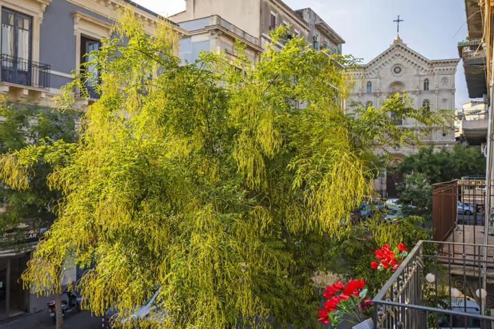 L'Angelo Di Casa Mia Catânia Exterior foto
